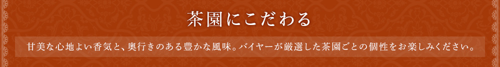 茶園にこだわる