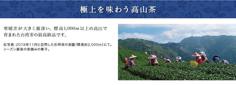 極上を味わう高山茶