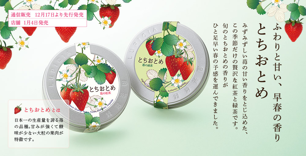 ふわりと甘い、早春の香り とちおとめ