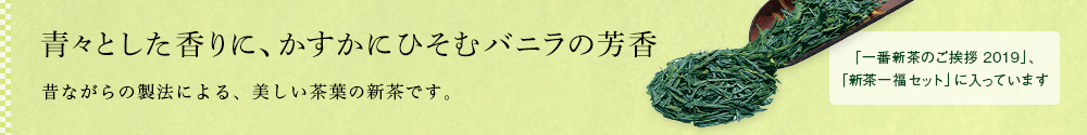 種子島新茶 松寿 2019