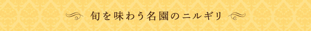 名園のニルギリ