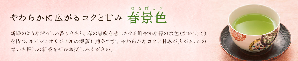 大隅新茶 さえみどり 「春景色」 2019