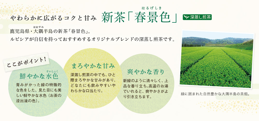 新茶「春景色」