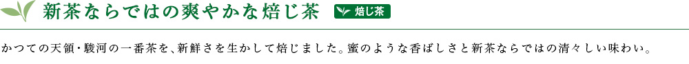 天領棒茶 新茶 2019