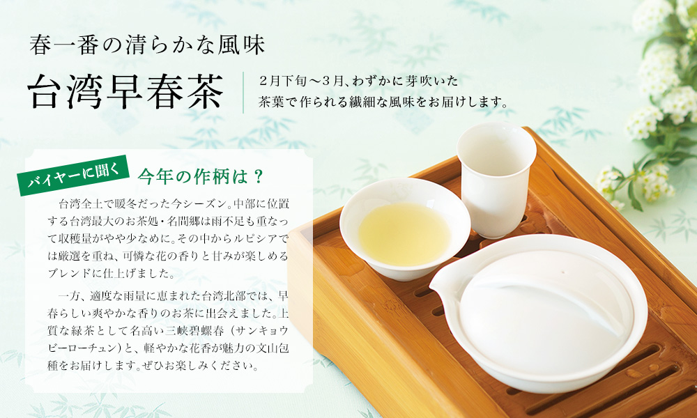 春一番の清らかな風味 台湾早春茶