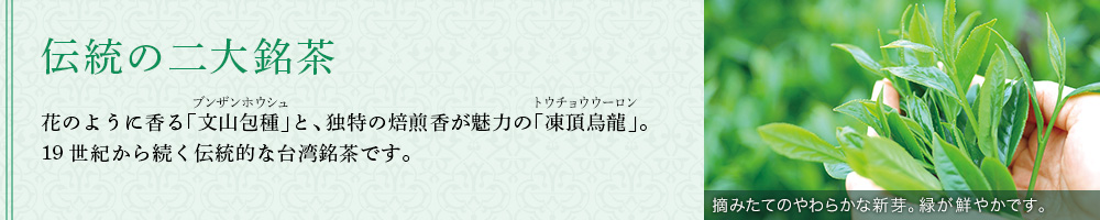 伝統の二大銘茶