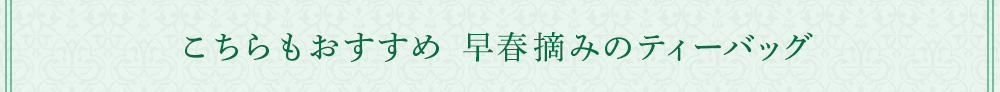 こちらもおすすめ