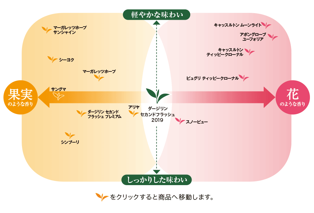 テイスティングチャート 2019