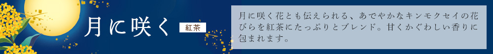 月に咲く