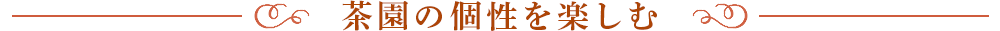 茶園の個性を楽しむ