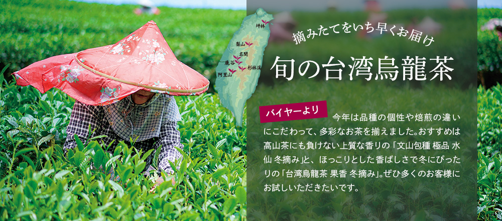 摘みたてをいち早くお届け 旬の台湾烏龍茶