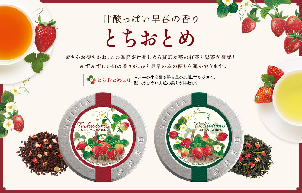 甘酸っぱい早春の香り とちおとめ
