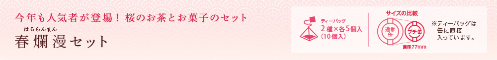 春爛漫セット