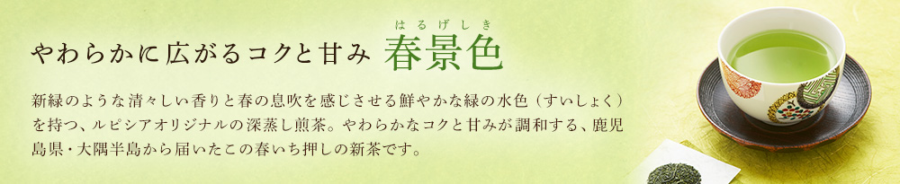 大隅新茶 さえみどり 「春景色」 2020