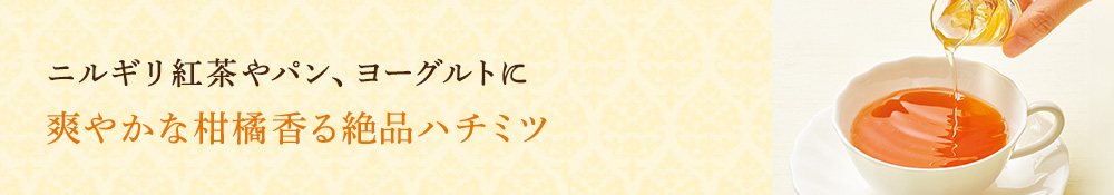 爽やかな柑橘香る絶品ハチミツ