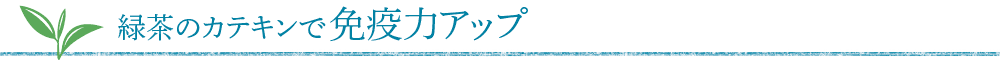 緑茶のカテキンで免疫力アップ
