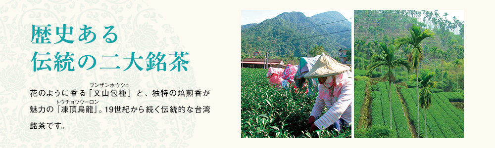 歴史ある 伝統の二大銘茶