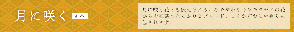 月に咲く