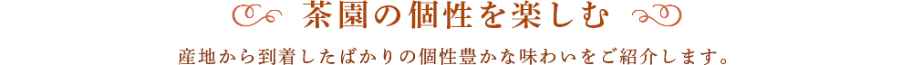 茶園の個性を楽しむ