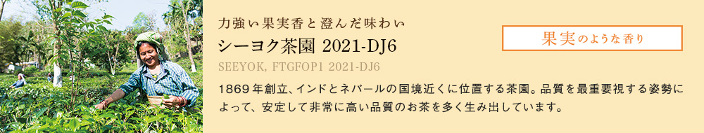シーヨク茶園