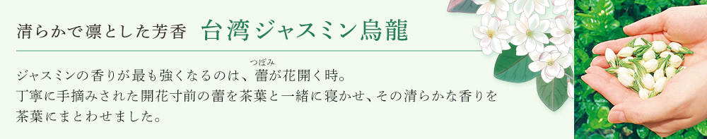 台湾ジャスミン烏龍