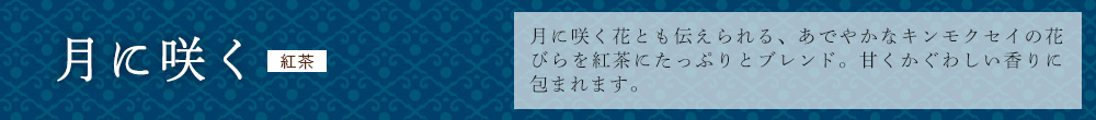 月に咲く
