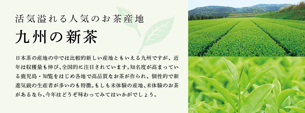 九州の新茶