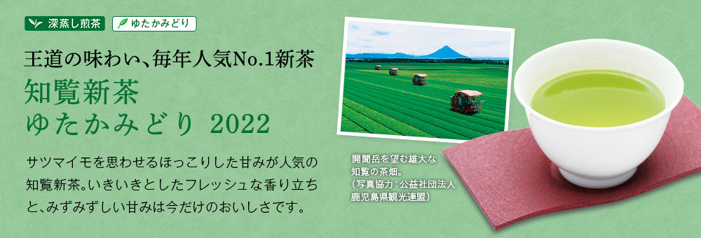 知覧新茶 ゆたかみどり 2022