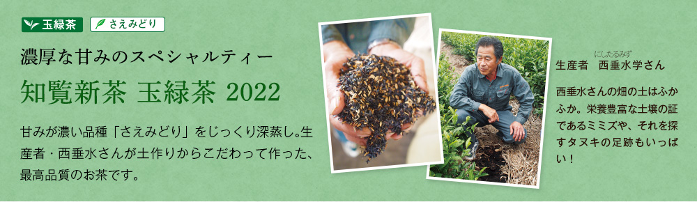 知覧新茶 玉緑茶