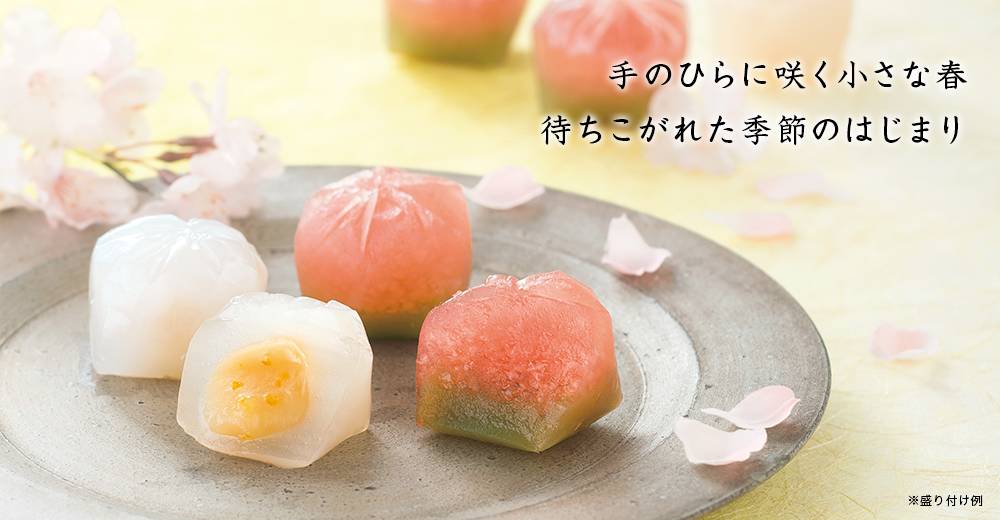 恋桜(こいざくら)