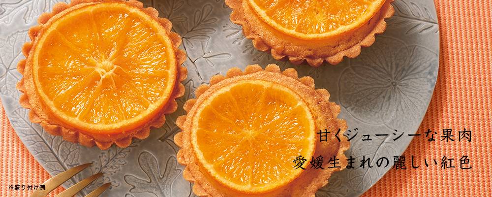 紅まどんなのタルト
