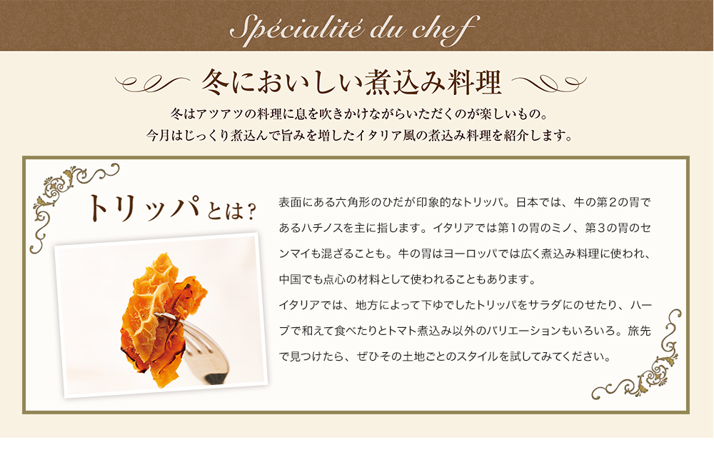 トリッパとは?