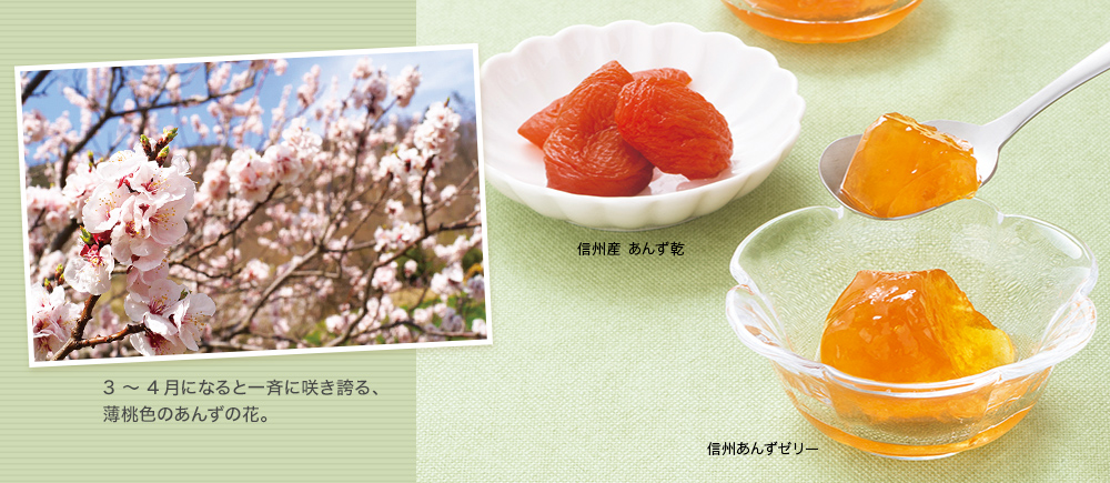 信州あんずゼリー
