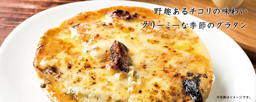 チコリのクリームグラタン