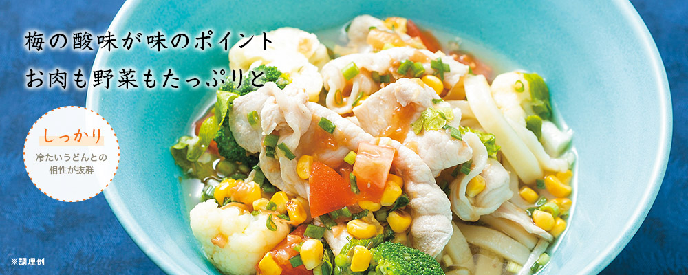 夏野菜冷しゃぶ麺スープ