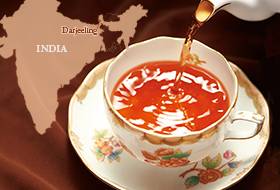 1�N�ł����΂�Â� �_�[�W���� �H�E�ݍg��