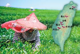 �E�݂��Ă������������͂� �{�̑�p�G����