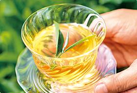 ��p�~�E�݉G���� �`�{�̈����R�K��L�`