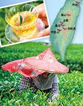 �E�݂��Ă������������͂� �{�̑�p�G����