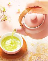 �t���ʂ�a�G�� ���M����F�̒�������Љ�