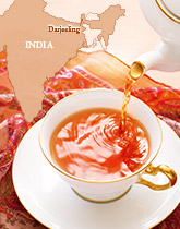 �_�[�W�����H�E�ݍg��