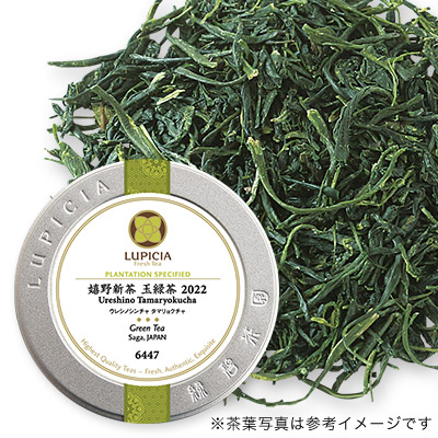 嬉野新茶 玉緑茶 2022 - 50g S 缶入