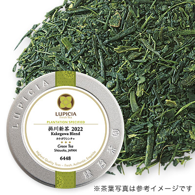 掛川新茶 2022 - 50g S 缶入