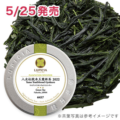 八女伝統本玉露新茶 2022 - 40g S 缶入