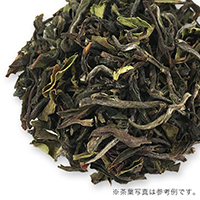 �W�b�_�p�n�[��, 2019-DJ12&nbsp;50g&nbsp;�ܓ�