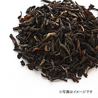 ���V�[�n�b�g, 2019-EX11&nbsp;50g&nbsp;�ܓ�