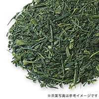 掛川新茶 2022