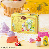 �J�t�@���� 2020�X�v�����O�R���N�V���� �s�N�j�b�N��