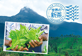 �Z�C�����g��