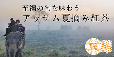 アッサム夏摘み紅茶